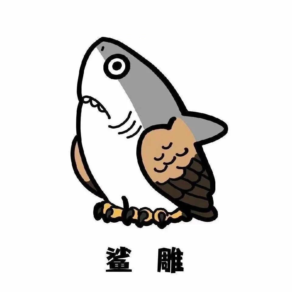 23朵毒蘑菇